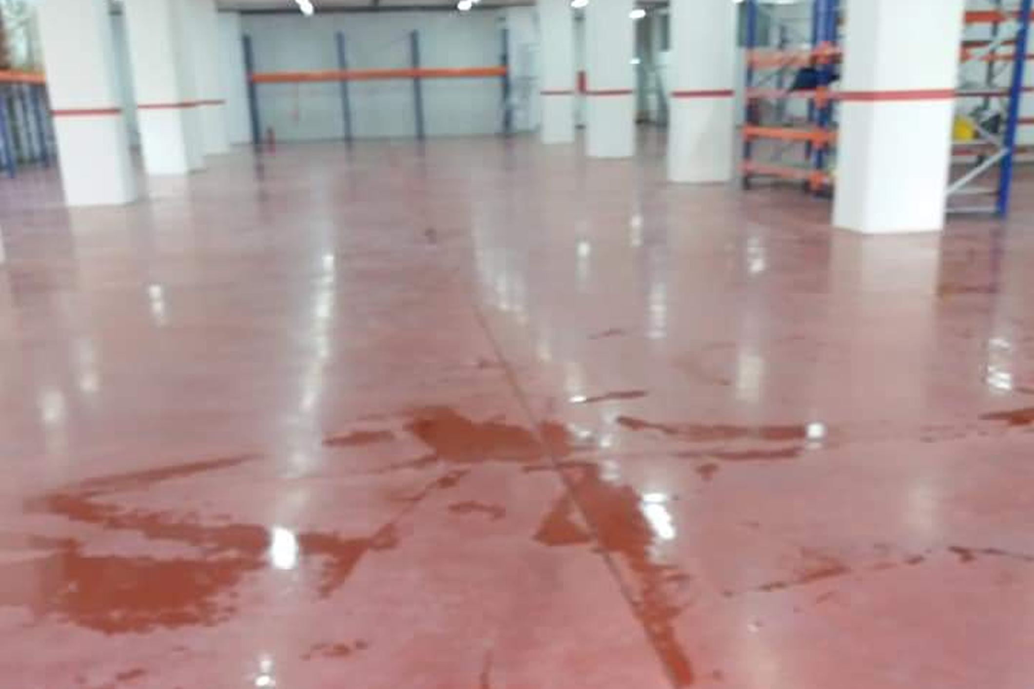 D Maris Mermer Silim